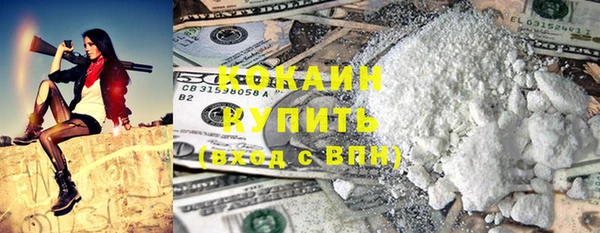 дживик Бронницы