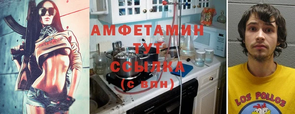 дживик Бронницы