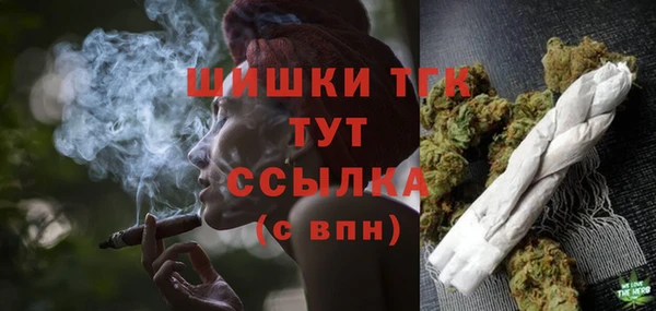 дживик Бронницы