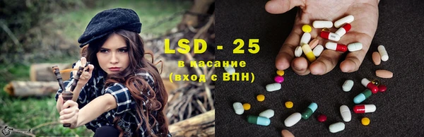 дживик Бронницы